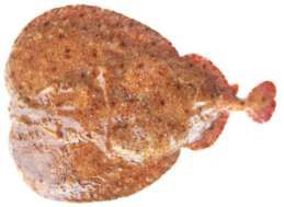 Torpedo sinuspersici