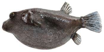 Arothron nigropunctatus